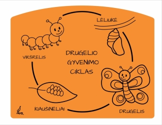 Edukaciniai žaidimai "Gamtos, laiko pažinimas" (15)