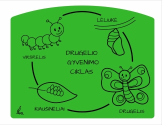 Edukaciniai žaidimai "Gamtos, laiko pažinimas" (16)